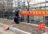 延春社區(qū)立足“三早”治理圈地種菜行為