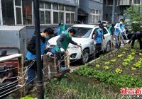 百日攻堅戰南陽藍馬甲在行動