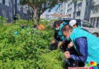 黨員示范成常態 志愿服務顯初心