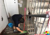 創建文明城進行時　我為家園出份力