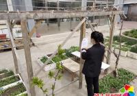 清理轄區(qū)種菜 美化居住環(huán)境