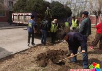 黨建引領(lǐng)居民自治 植樹“種”出幸福感